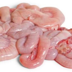 Pork Intestines