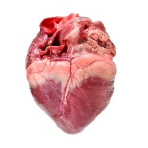 Pork Heart