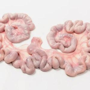 Pork Uterus